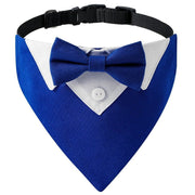 Dog Tuxedo Bow Tie Collar