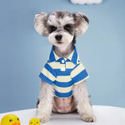 Striped Polo Dog Shirt