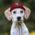 Load image into Gallery viewer, NFL San Francisco 49ers Dog Hat
