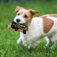 Load image into Gallery viewer, Seattle Seahawks Plush Hedgehog Toy
