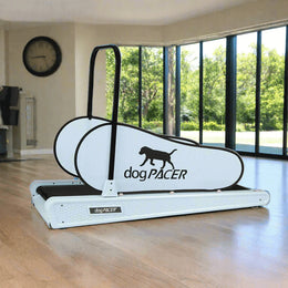 dogPACER® SE Sky Blue – Mid-Sized Dog Treadmill for Indoor Pet Fitness 