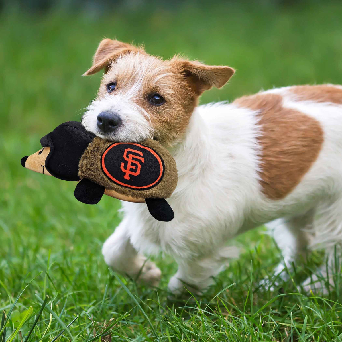 San Francisco Giants Plush Hedgehog Toy
