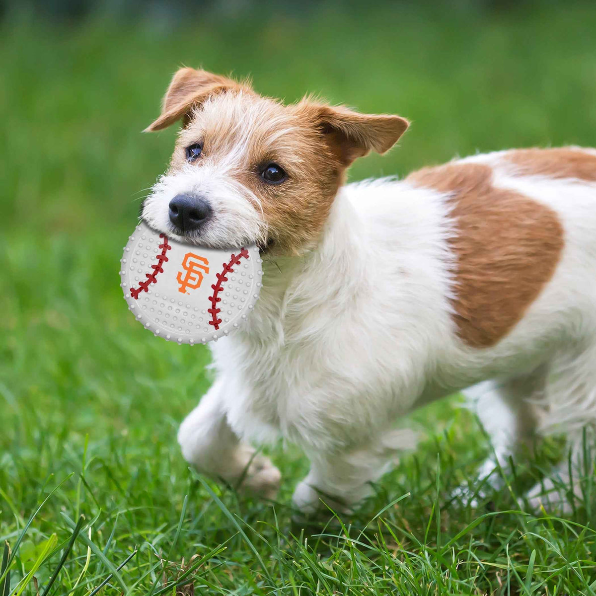 San Francisco Giants Hard Nylon Baseball Chew Toy