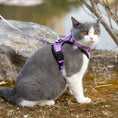 Load image into Gallery viewer, Mr. Peanut's PurrTrek Reflective Cat Harness with Matching Leash
