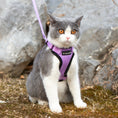 Load image into Gallery viewer, Mr. Peanut's PurrTrek Reflective Cat Harness with Matching Leash
