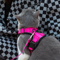 Load image into Gallery viewer, Mr. Peanut's PurrTrek Reflective Cat Harness with Matching Leash
