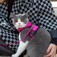 Load image into Gallery viewer, Mr. Peanut's PurrTrek Reflective Cat Harness with Matching Leash
