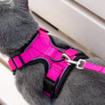 Load image into Gallery viewer, Mr. Peanut's PurrTrek Reflective Cat Harness with Matching Leash
