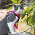 Load image into Gallery viewer, Mr. Peanut's PurrTrek Reflective Cat Harness with Matching Leash
