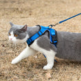 Load image into Gallery viewer, Mr. Peanut's PurrTrek Reflective Cat Harness with Matching Leash
