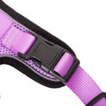 Load image into Gallery viewer, Mr. Peanut's PurrTrek Reflective Cat Harness with Matching Leash
