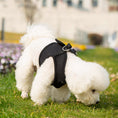 Load image into Gallery viewer, Mr. Peanut's PupTrek Harness and Leash Set,  Small Dog/Cat Soft Mesh Step In Harness Vest

