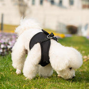 Mr. Peanut's PupTrek Harness and Leash Set,  Small Dog/Cat Soft Mesh Step In Harness Vest