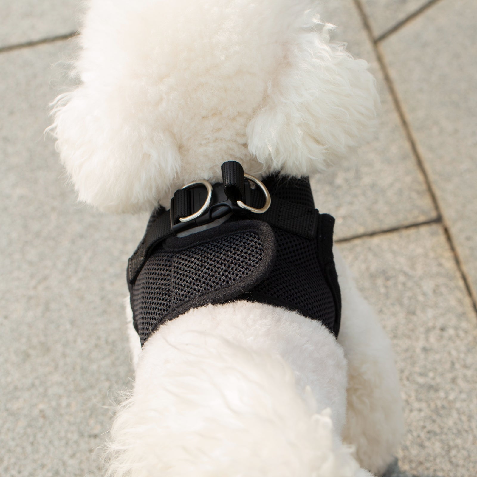 Mr. Peanut's PupTrek Harness and Leash Set,  Small Dog/Cat Soft Mesh Step In Harness Vest