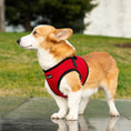 Load image into Gallery viewer, Mr. Peanut's PupTrek Harness and Leash Set,  Small Dog/Cat Soft Mesh Step In Harness Vest
