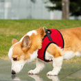 Load image into Gallery viewer, Mr. Peanut's PupTrek Harness and Leash Set,  Small Dog/Cat Soft Mesh Step In Harness Vest
