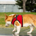 Load image into Gallery viewer, Mr. Peanut's PupTrek Harness and Leash Set,  Small Dog/Cat Soft Mesh Step In Harness Vest
