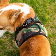 Mr. Peanut's PupTrek Harness and Leash Set,  Small Dog/Cat Soft Mesh Step In Harness Vest