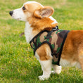Load image into Gallery viewer, Mr. Peanut's PupTrek Harness and Leash Set,  Small Dog/Cat Soft Mesh Step In Harness Vest
