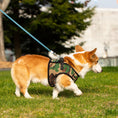 Load image into Gallery viewer, Mr. Peanut's PupTrek Harness and Leash Set,  Small Dog/Cat Soft Mesh Step In Harness Vest
