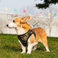 Load image into Gallery viewer, Mr. Peanut's PupTrek Harness and Leash Set,  Small Dog/Cat Soft Mesh Step In Harness Vest

