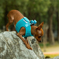 Load image into Gallery viewer, Mr. Peanut's PupTrek Harness and Leash Set,  Small Dog/Cat Soft Mesh Step In Harness Vest
