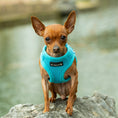 Load image into Gallery viewer, Mr. Peanut's PupTrek Harness and Leash Set,  Small Dog/Cat Soft Mesh Step In Harness Vest
