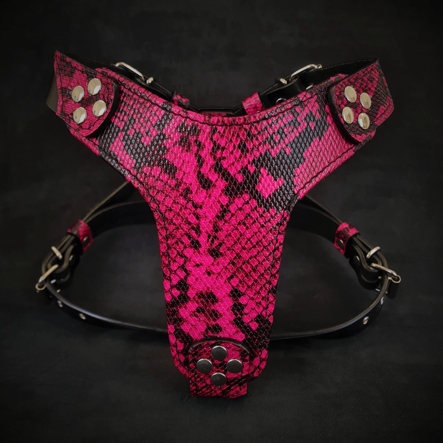 The ''Rock Python'' Dogs and pets harness Small to Medium Size