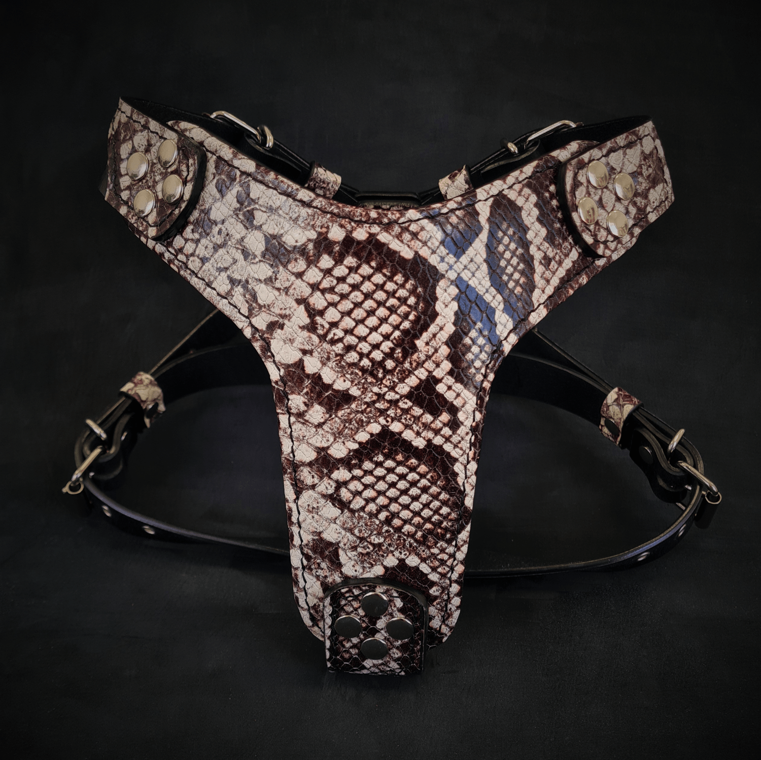 The ''Rock Python'' Dogs and pets harness Small to Medium Size