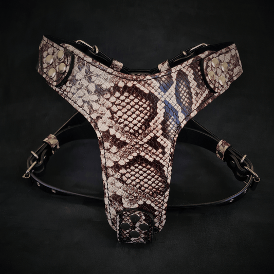 The ''Rock Python'' Dogs and pets harness Small to Medium Size