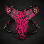 The ''Rock Python'' Dogs and pets harness Small to Medium Size