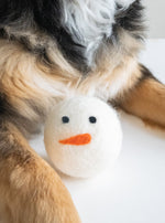 WINTER BEASTBALL