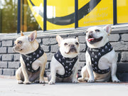 Frenchie Duo Reversible Harness - Bad To The Bone