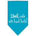 Load image into Gallery viewer, Halloween Pet and Dog Bandana Screen Printed, "Black Cats are Bad Luck"
