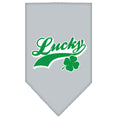 Load image into Gallery viewer, Pet and Dog Bandana Screen Printed,  "Lucky Swoosh"
