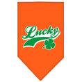 Load image into Gallery viewer, Pet and Dog Bandana Screen Printed,  "Lucky Swoosh"
