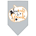 Load image into Gallery viewer, Halloween Pet and Dog Bandana Screen Printed, "Too Cute To Spook"
