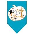Load image into Gallery viewer, Halloween Pet and Dog Bandana Screen Printed, "Too Cute To Spook"
