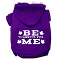 Load image into Gallery viewer, Thanksgiving Pet Dog & Cat Hoodie Screen Printed, "Be Thankful for Me"

