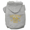 Load image into Gallery viewer, Christmas Pet Hoodie, "Golden Christmas Present"

