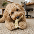 Load image into Gallery viewer, A fluffy dog chewing on a Flufflehorn Dental Antler chew toy, set in a cozy indoor environment with a rug and furniture.
