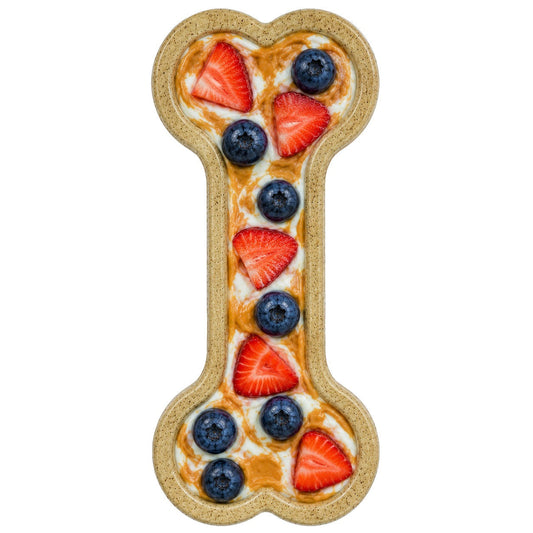 Southlake Paws Bone eChew Ultra Durable Nylon Dog Chew Toy shaped like a bone, featuring a peanut butter and fruit design.