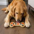Load image into Gallery viewer, Bone eChew Ultra Durable Nylon Dog Chew Toy for Aggressive Chewers | USA Made
