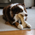 Load image into Gallery viewer, Bone eChew Ultra Durable Nylon Dog Chew Toy for Aggressive Chewers | USA Made
