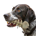 Load image into Gallery viewer, Fish Bone Nylon Dog Toy for Aggressive Chewers | USA Made | SodaPup
