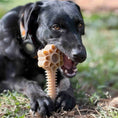 Load image into Gallery viewer, Black dog chewing on a Honey Bone Dental Flower Tower, an indestructible nylon chew toy, in a grassy outdoor setting.
