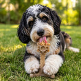 Load image into Gallery viewer, Southlake Paws Honey Bone Dental Flower Tower XL chew toy, held by a dog on grass, designed for durable chewing and dental he
