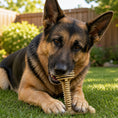 Load image into Gallery viewer, Southlake Paws Honey Bone Dental Tower - XL indestructible nylon dog chew toy, with a German Shepherd chewing on it in a gras
