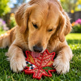 Load image into Gallery viewer, Golden retriever chewing on a red Canadian maple leaf-shaped nylon dog toy, set on green grass with flowers in the background
