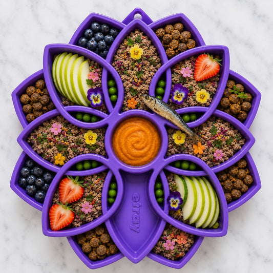 Southlake Paws Mandala eTray Shallow Slow Feeder Dog Bowl in purple, featuring compartments filled with fruits, veggies, and 